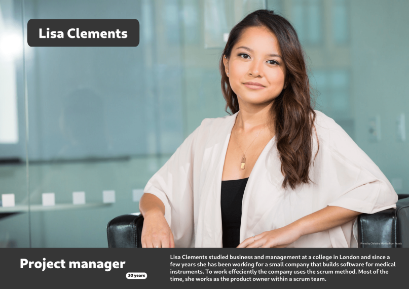 User persona of a project manager